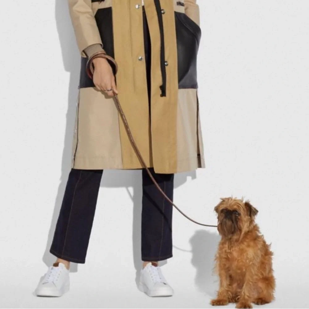 🎉HOST PICK 🎉 Coach Dog Leash